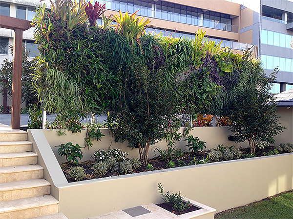 Vertical growing across Greenwalls