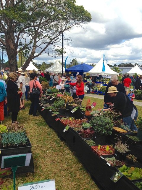 CCPLF '14 Fair action