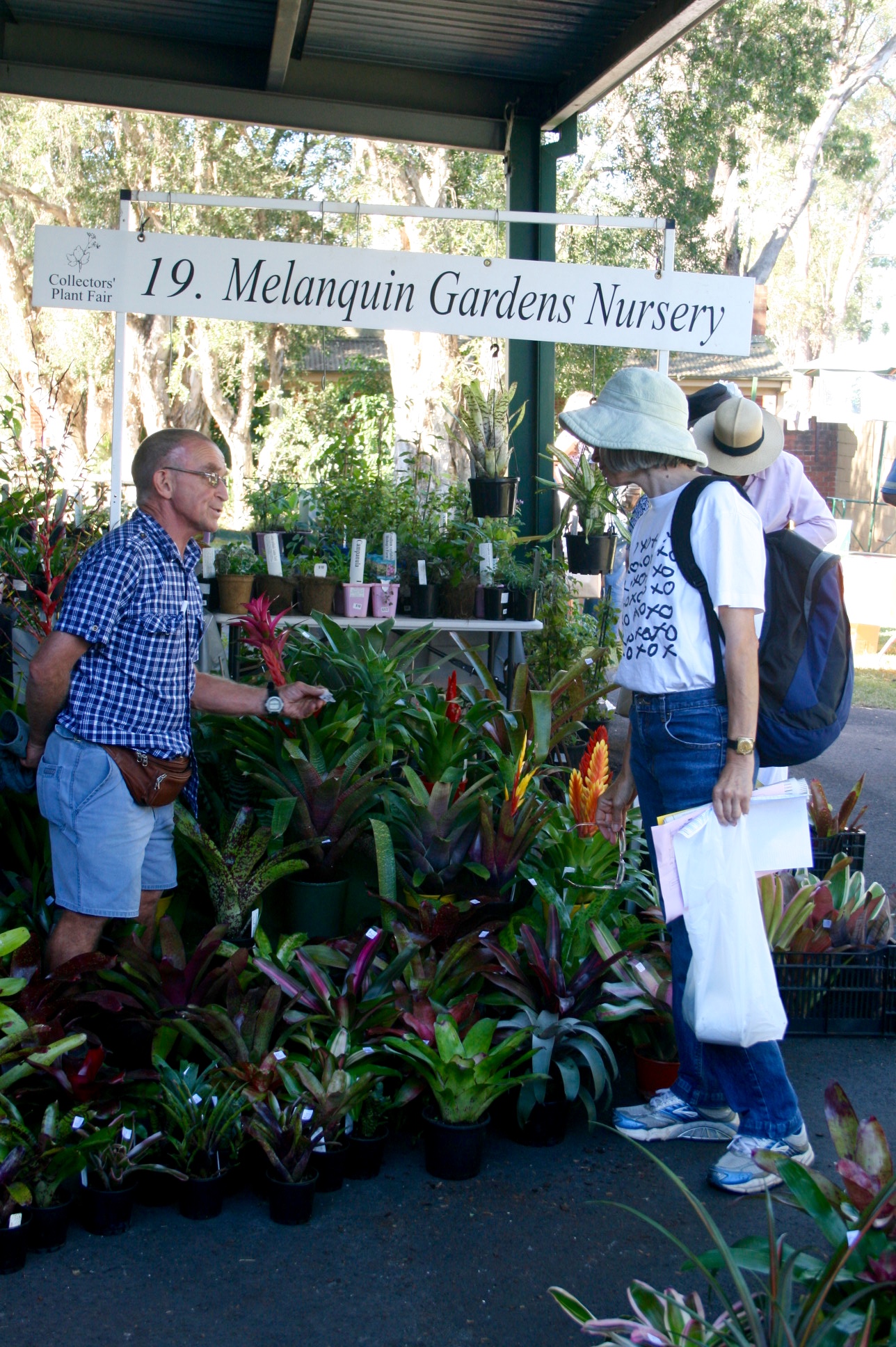 Gary Flemming at Collectors Plant Fair will be selling at Concord Bromeliad Fair