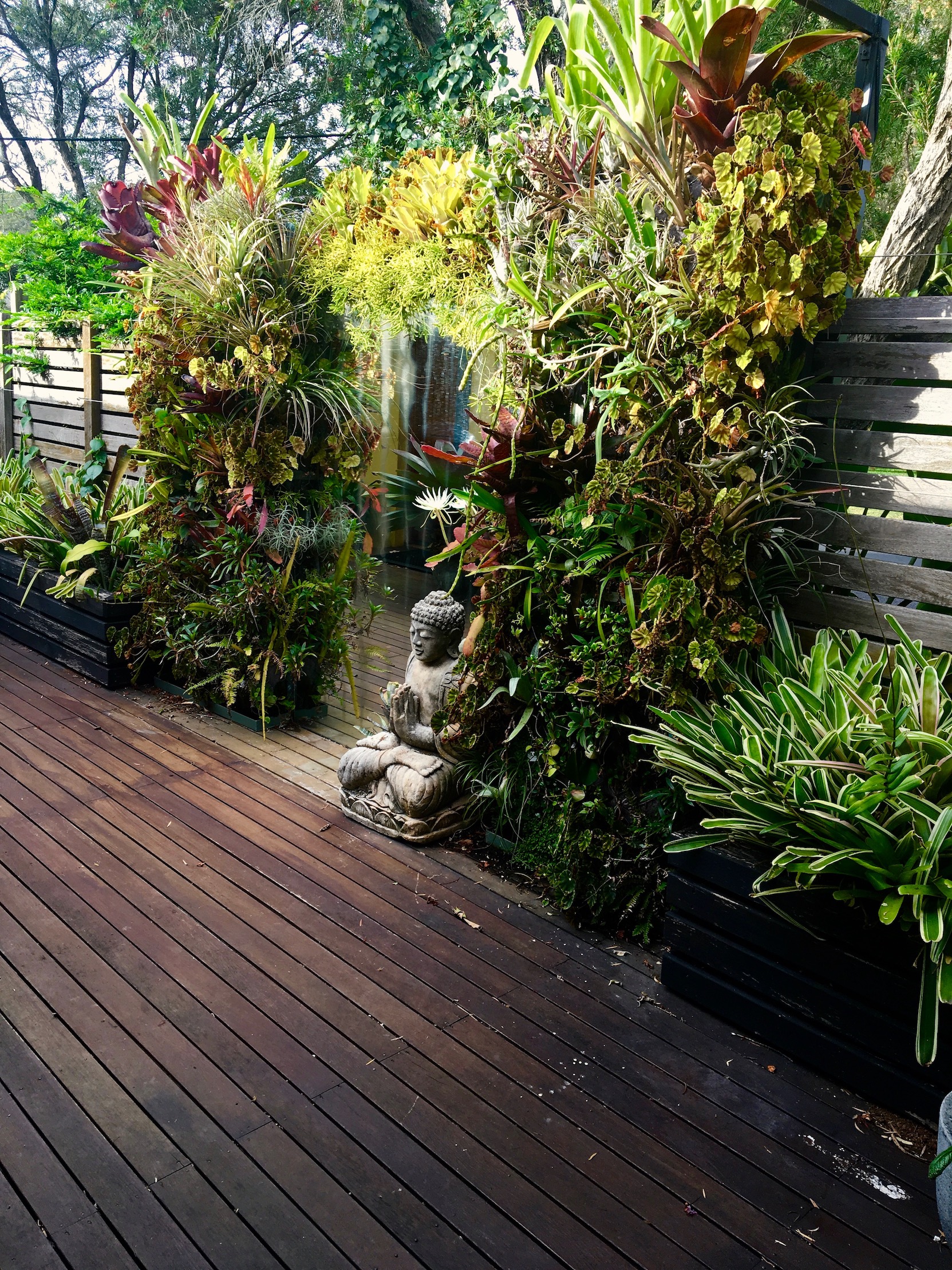'Sea-Changer' Mirror Deck with epiphyte loaded greenwalls