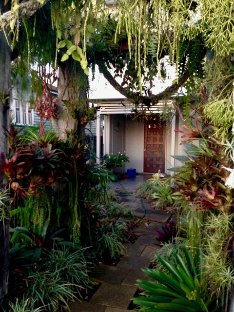 Modern day plant hunter, horticulturist and nursery & plantsman Bruce Dunstan's epiphytic encrusted from gate in Nundah, Brisbane